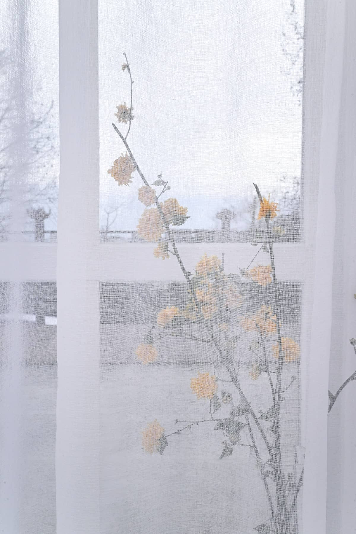 Линт